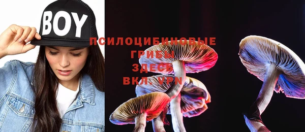ешки Вязники